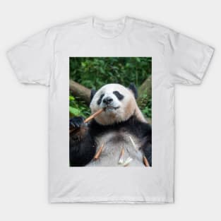 Panda Loves Bamboo! T-Shirt